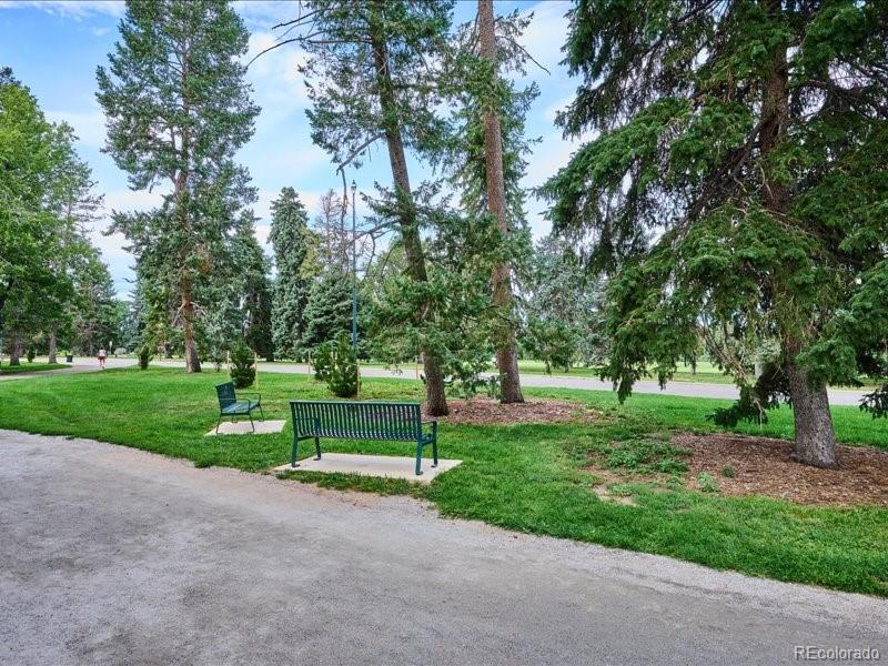 1133 Race Street, Unit 5A Denver, CO 80206 - Photo 28 of 33 a view of a park with tree s