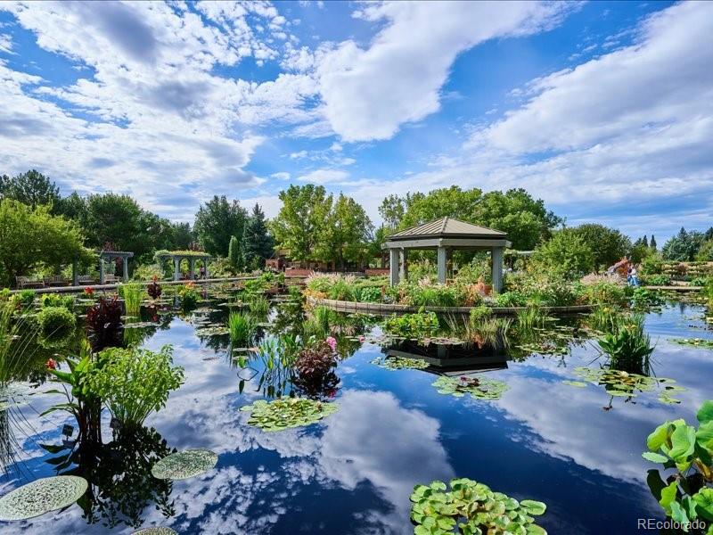 1133 Race Street, Unit 5A Denver, CO 80206 - Photo 32 of 33 a front view of a house with a yard covered in garden