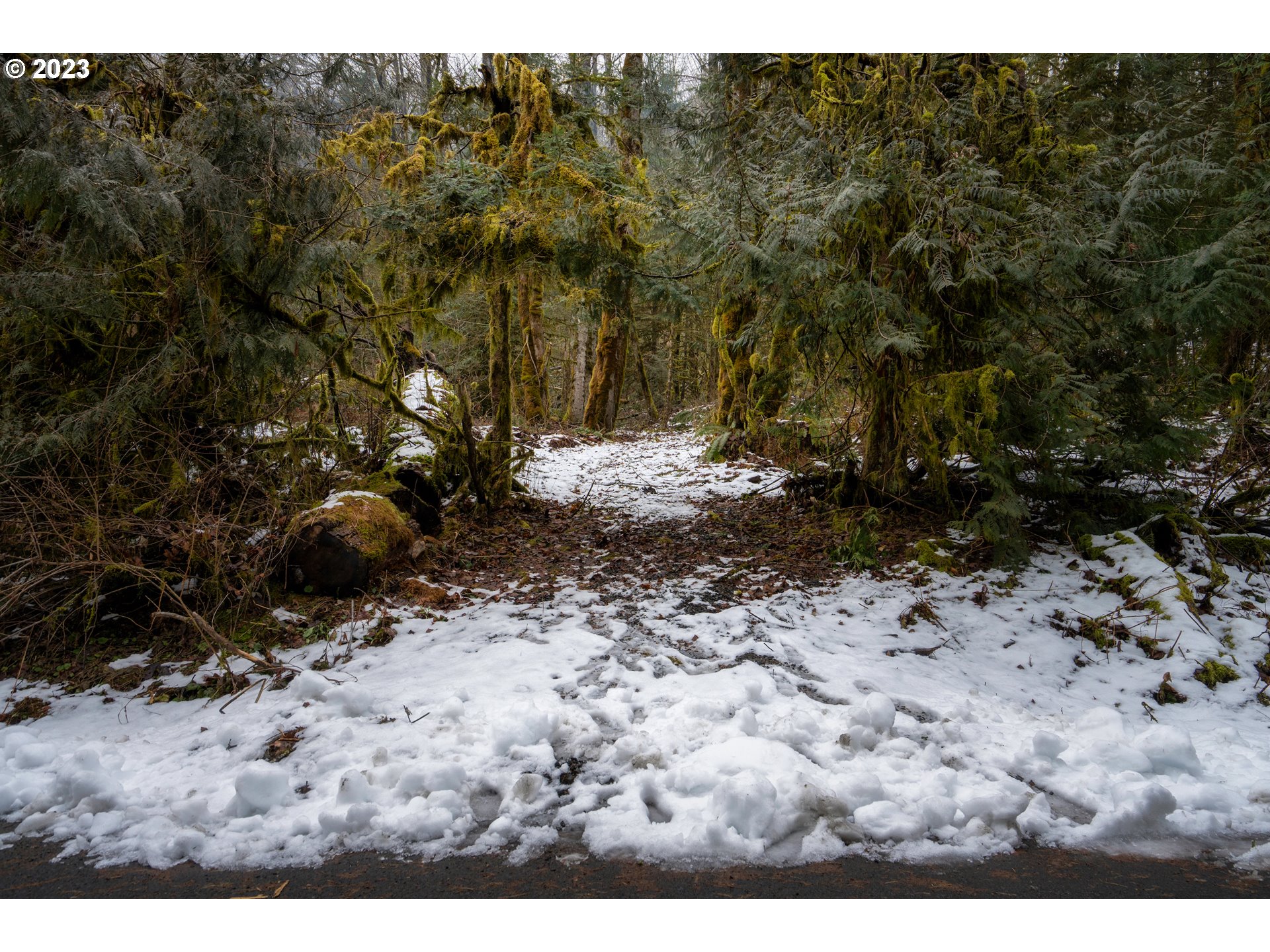 East Henry Creek Road Rhododendron, OR 97049 - Photo 5 of 9 Gallery Image 5