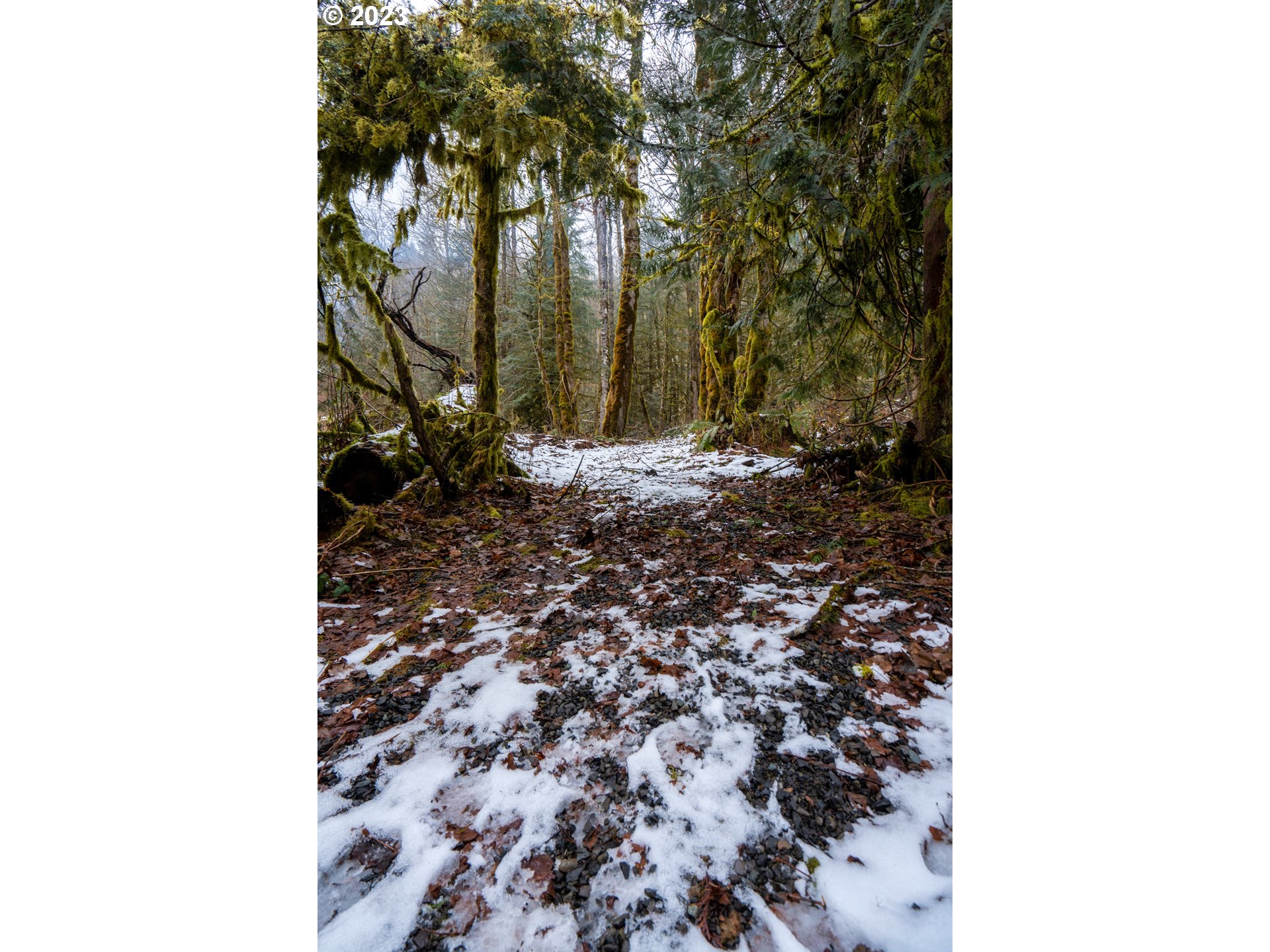East Henry Creek Road Rhododendron, OR 97049 - Photo 6 of 9 Gallery Image 6