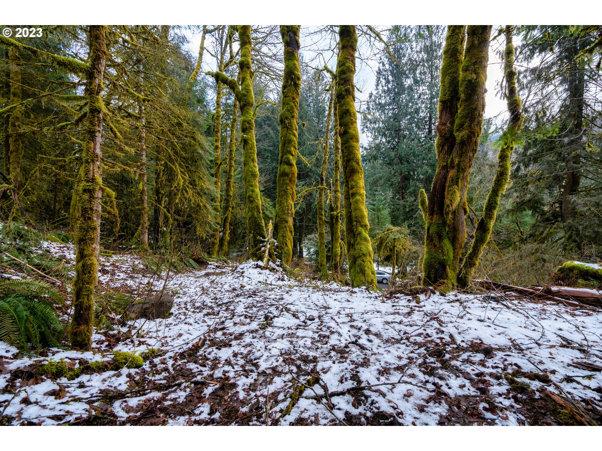 East Henry Creek Road Rhododendron, OR 97049 - Photo 7 of 9 Gallery Image 7
