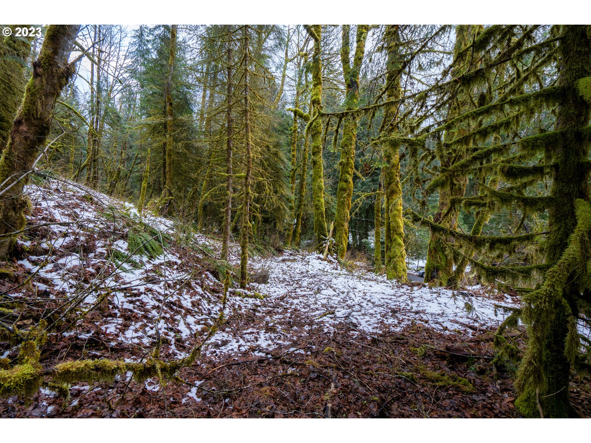 East Henry Creek Road Rhododendron, OR 97049 - Photo 8 of 9 Gallery Image 8