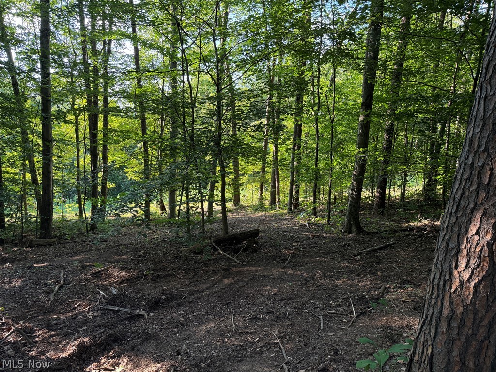 0 Fisher Ridge Road Fleming, OH 45729 - Photo 10 of 12 Gallery Image 10