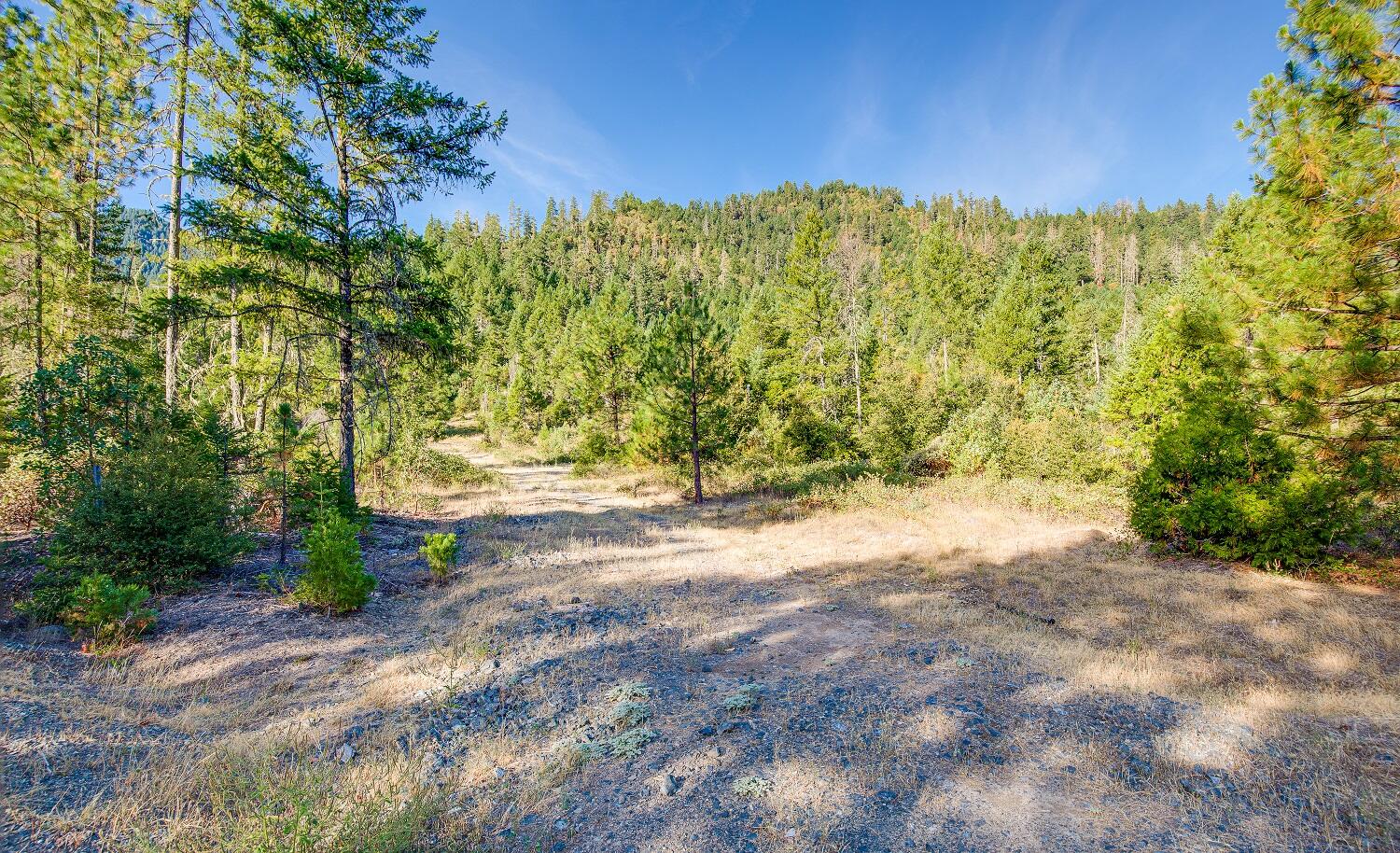 0 Thompson Creek Road Jacksonville, OR 97530 - Photo 2 of 17 Ninemile 1