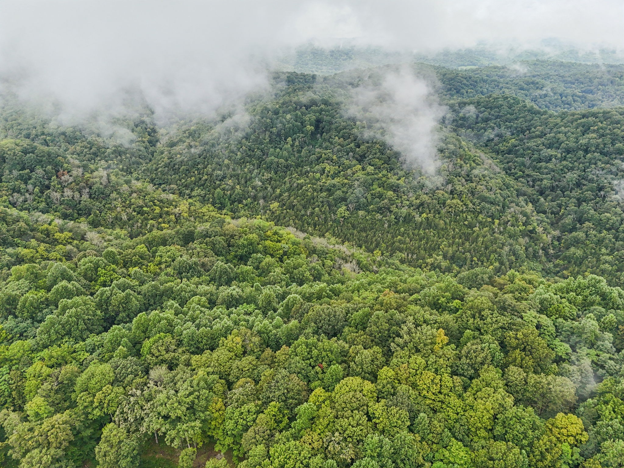 0 Turkey Branch Road Liberty, TN 37095 - Photo 11 of 31 an aerial view of residential house with space and trees all around