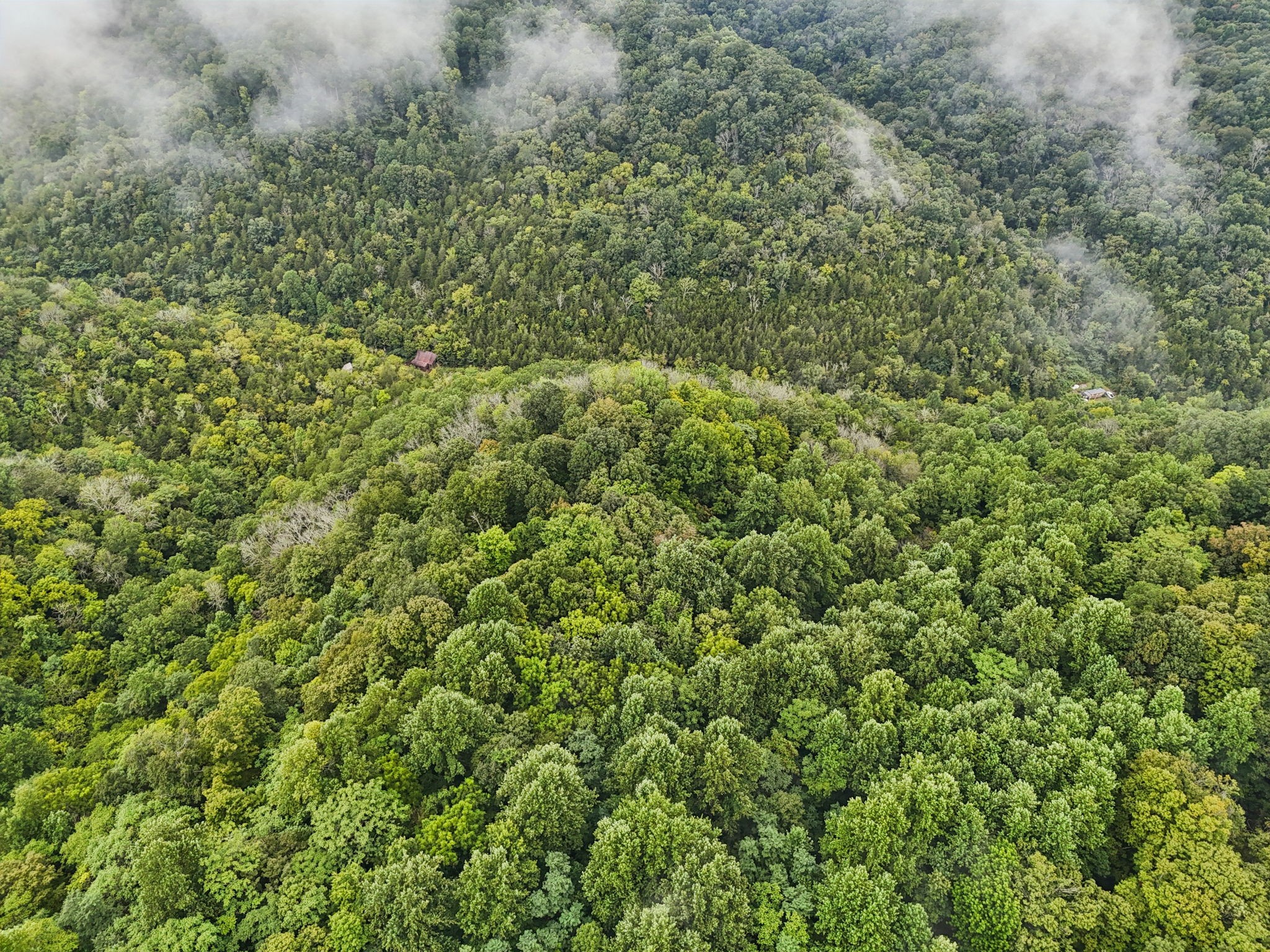 0 Turkey Branch Road Liberty, TN 37095 - Photo 14 of 31 an aerial view of residential house with space and trees all around