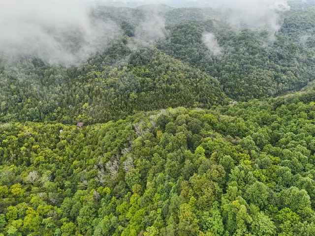 an aerial view of residential house with space and trees all around