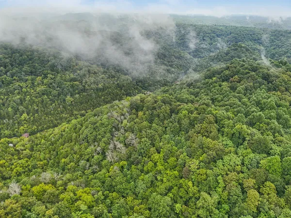 a view of a lush green field