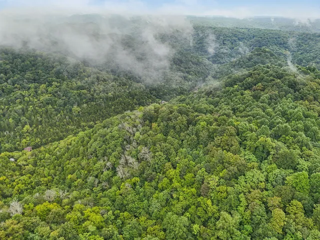 a view of a lush green field