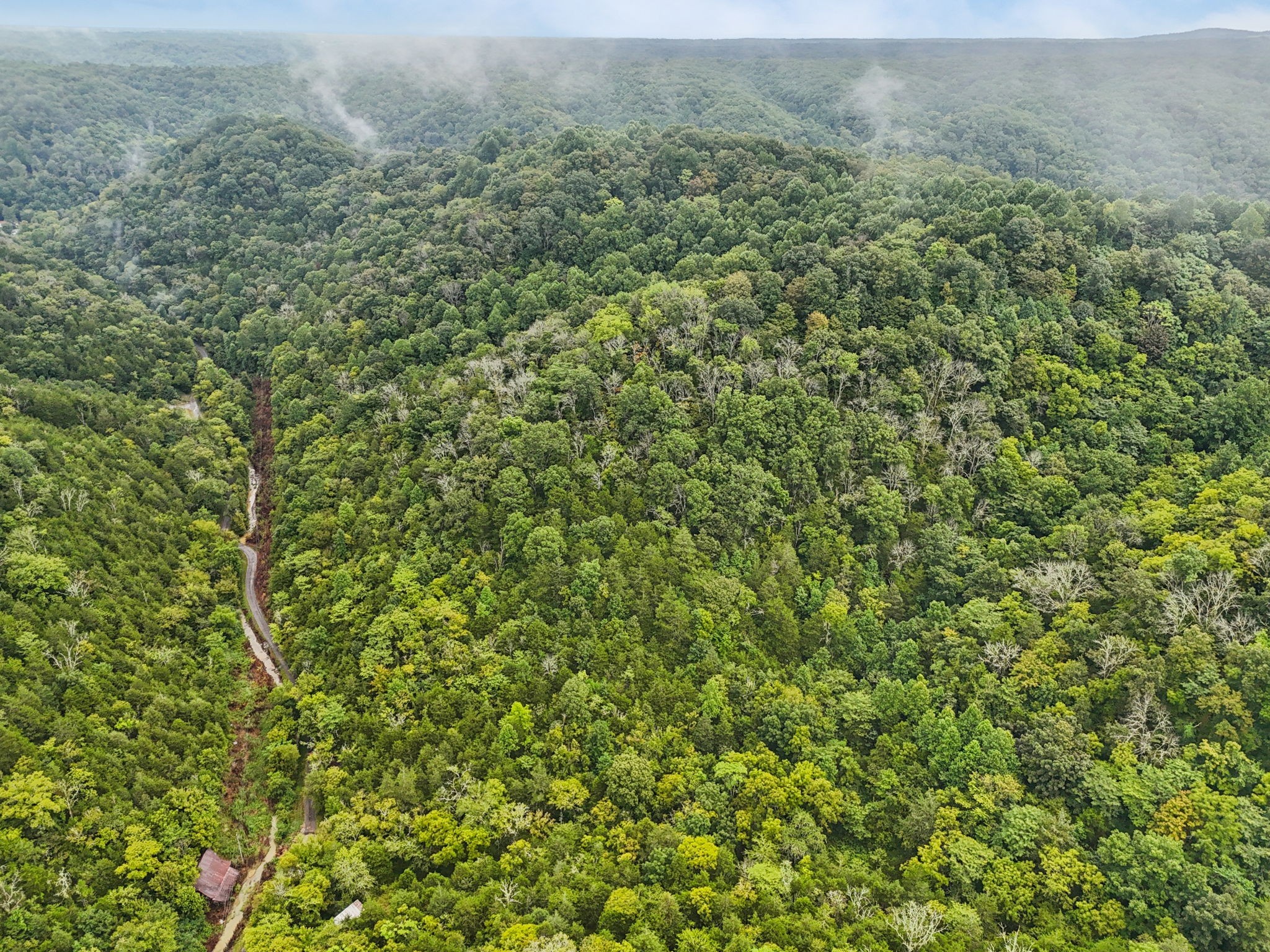 0 Turkey Branch Road Liberty, TN 37095 - Photo 18 of 31 a view of a lush green field