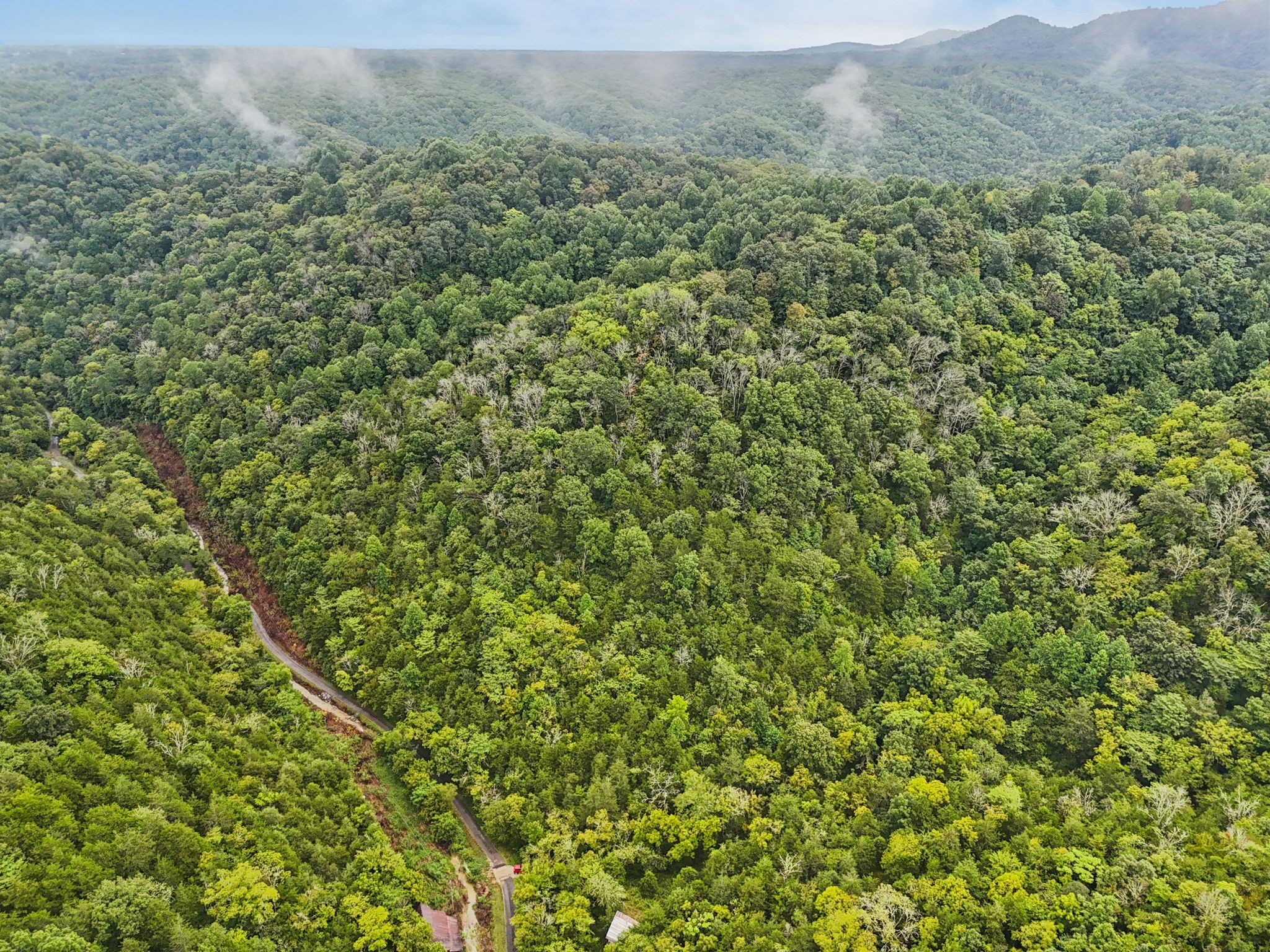 0 Turkey Branch Road Liberty, TN 37095 - Photo 19 of 31 a view of a lush green forest with a lush green forest