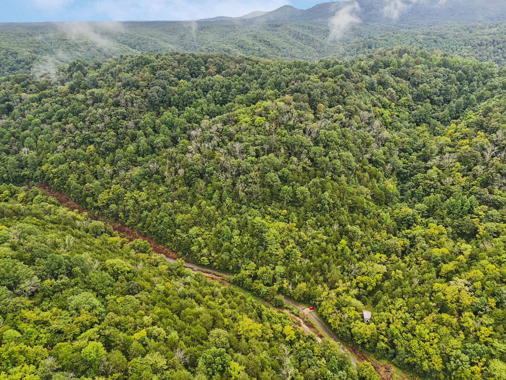 0 Turkey Branch Road Liberty, TN 37095 - Photo 20 of 31 a view of a lush green forest with a mountain