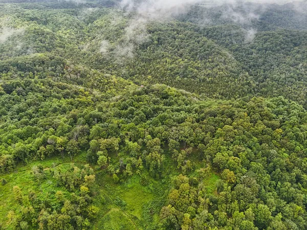 a view of a big yard with lots of green space