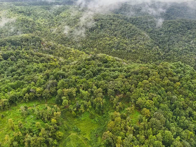a view of a big yard with lots of green space