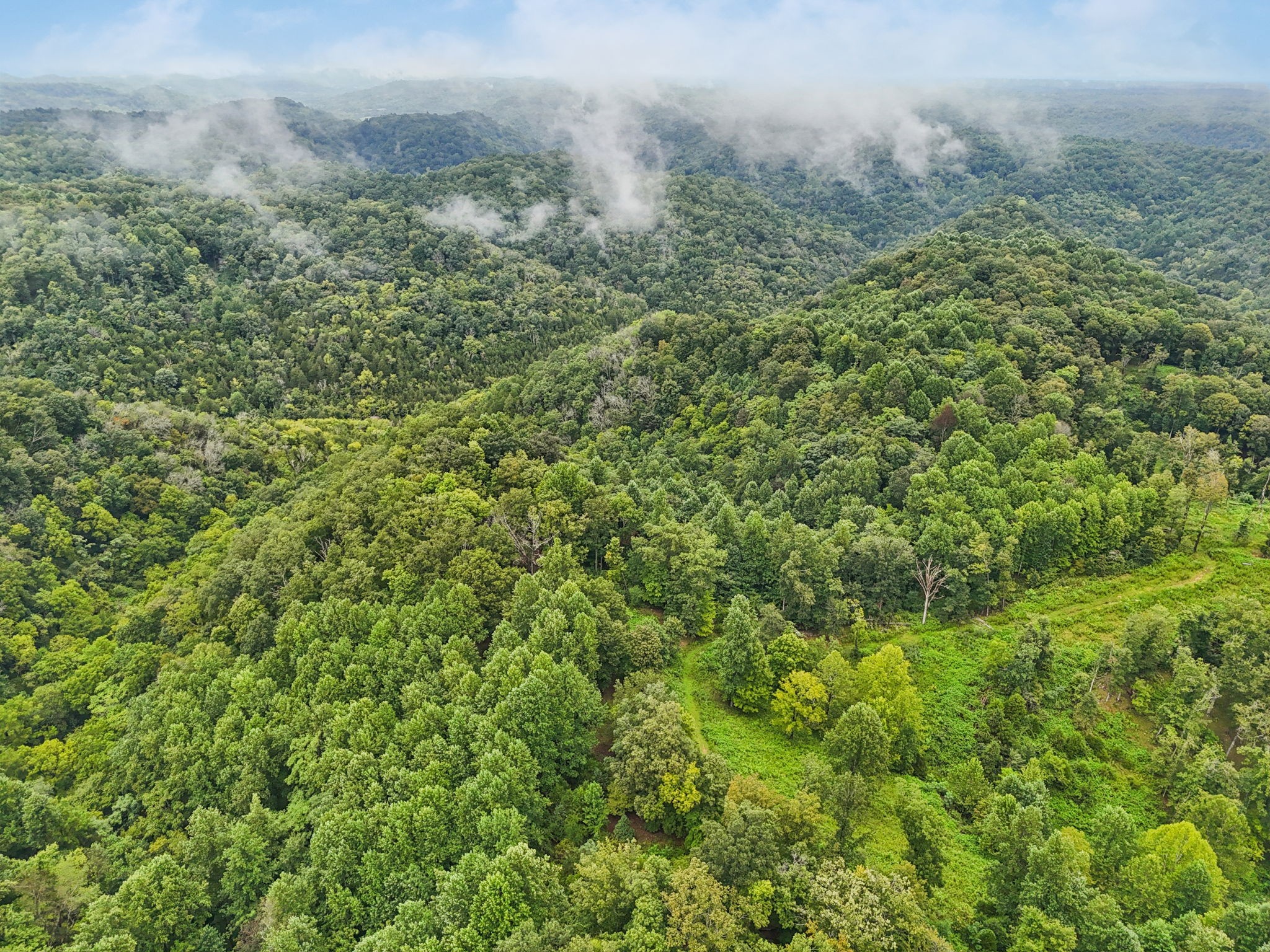0 Turkey Branch Road Liberty, TN 37095 - Photo 25 of 31 a view of a lush green forest with trees and some houses