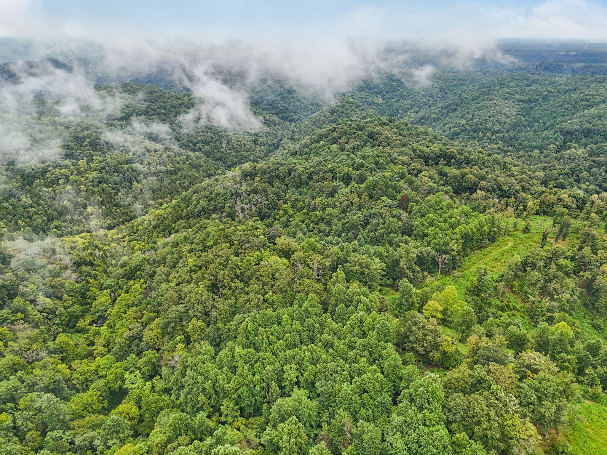 0 Turkey Branch Road Liberty, TN 37095 - Photo 27 of 31 a view of a field