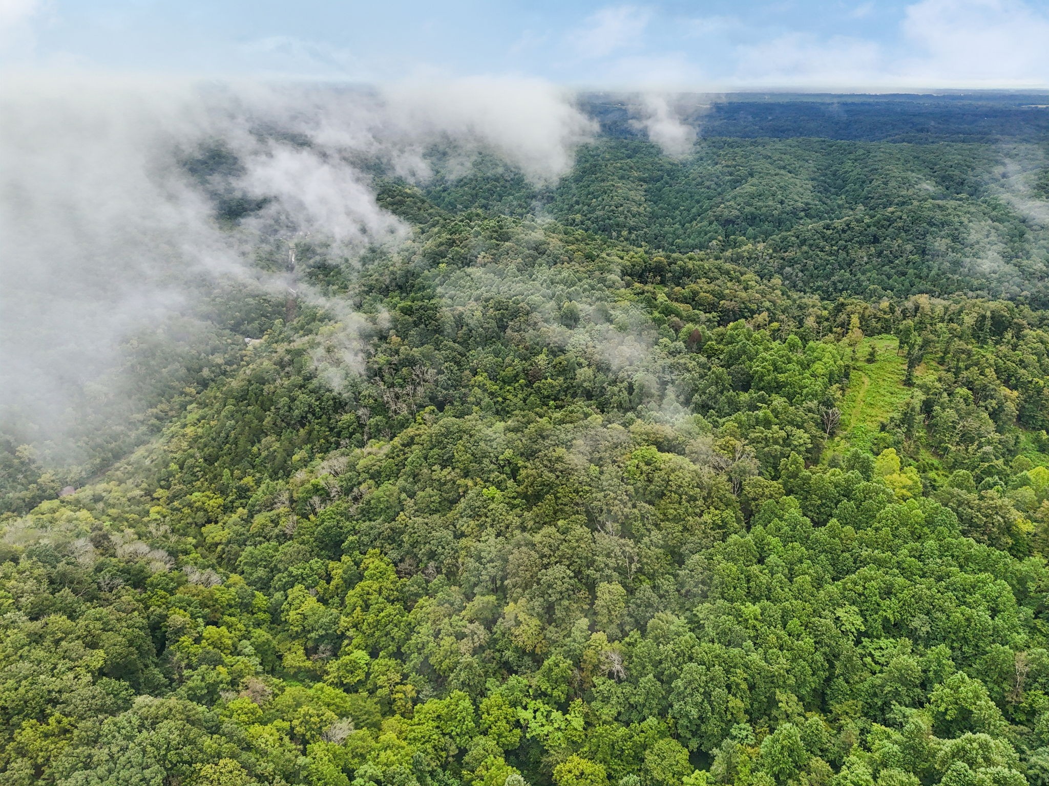 0 Turkey Branch Road Liberty, TN 37095 - Photo 28 of 31 a view of a field of grass and trees