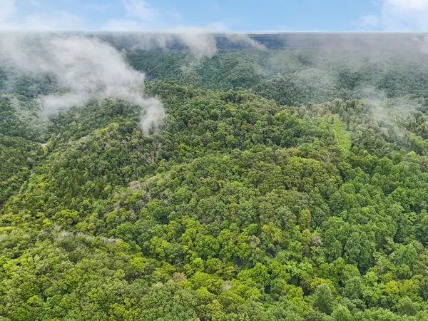 a view of a big yard with lots of green space
