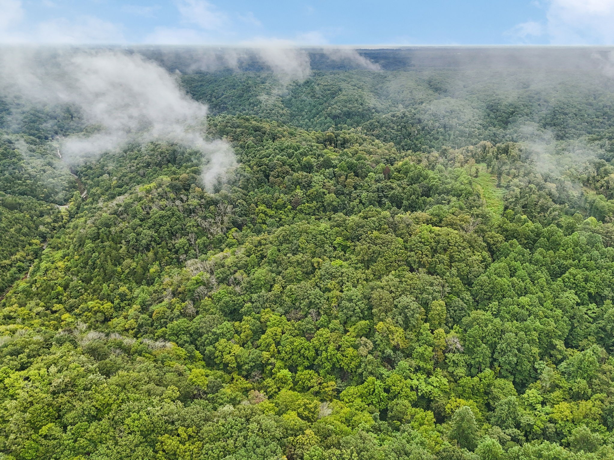 0 Turkey Branch Road Liberty, TN 37095 - Photo 29 of 31 a view of a field of grass and trees