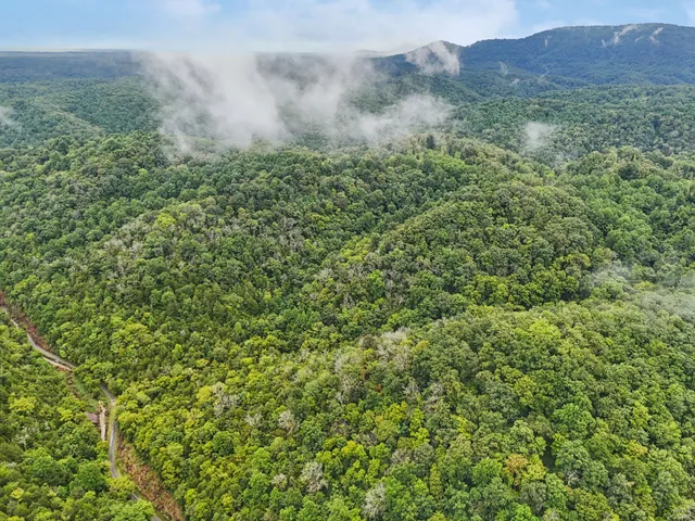 $115,000 | 0 Turkey Branch Road, Liberty, TN 37095