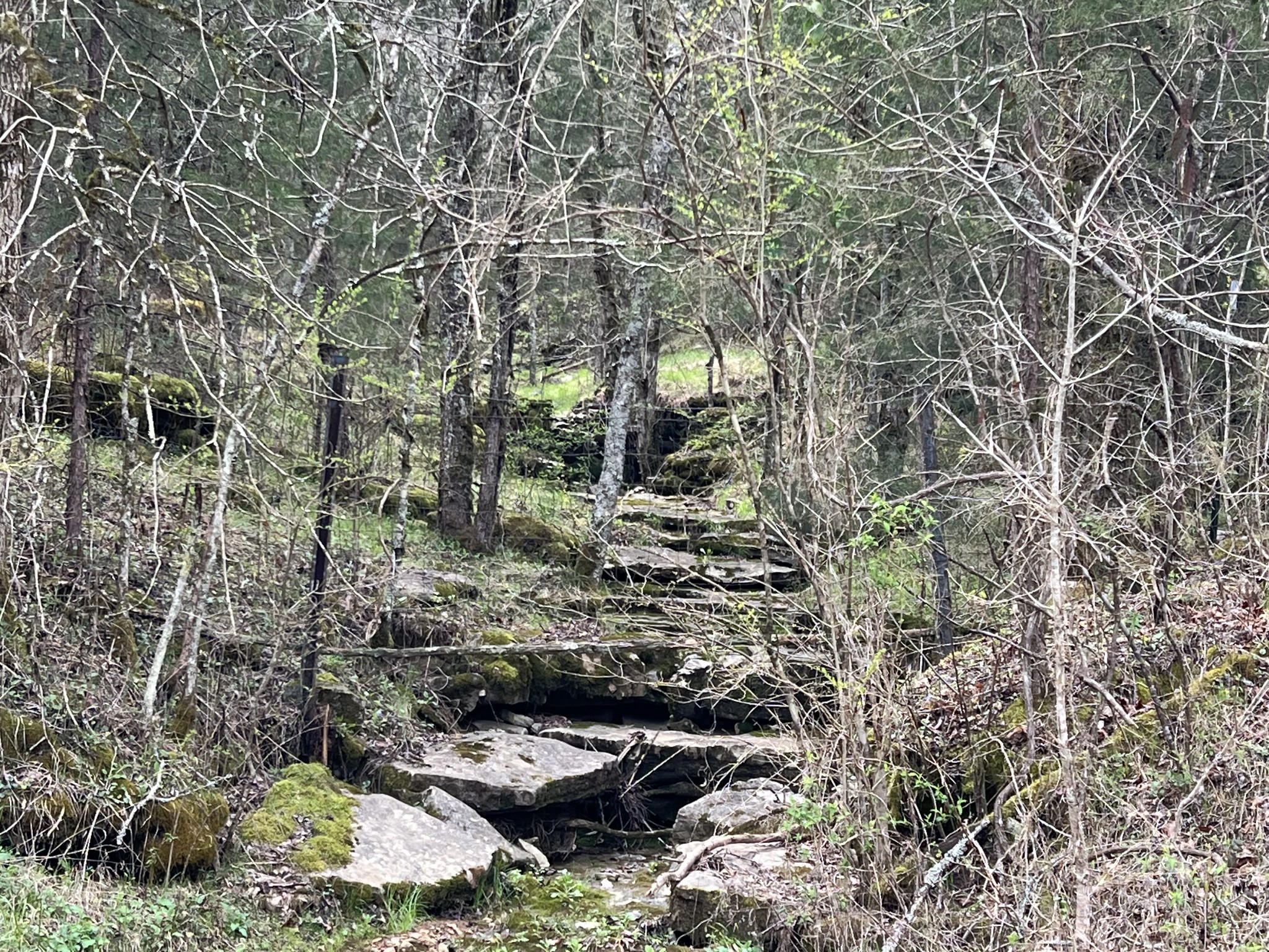0 Turkey Branch Road Liberty, TN 37095 - Photo 3 of 31 a backyard of a house with lots of green space