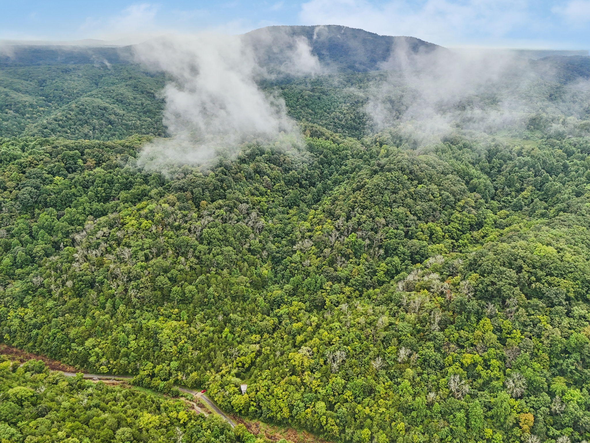0 Turkey Branch Road Liberty, TN 37095 - Photo 31 of 31 a view of a big yard with lots of green space