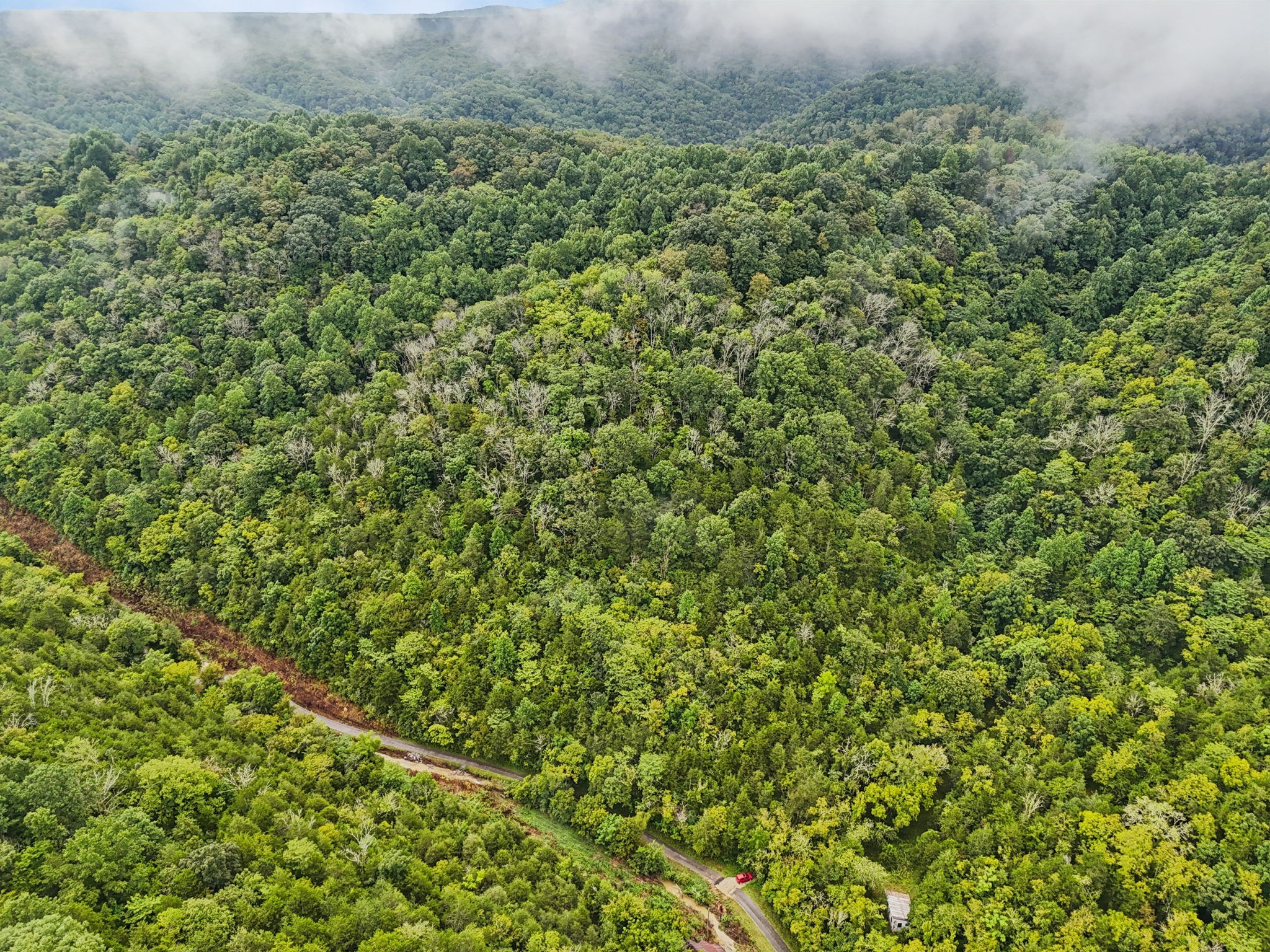 0 Turkey Branch Road Liberty, TN 37095 - Photo 4 of 31 a view of a lush green field