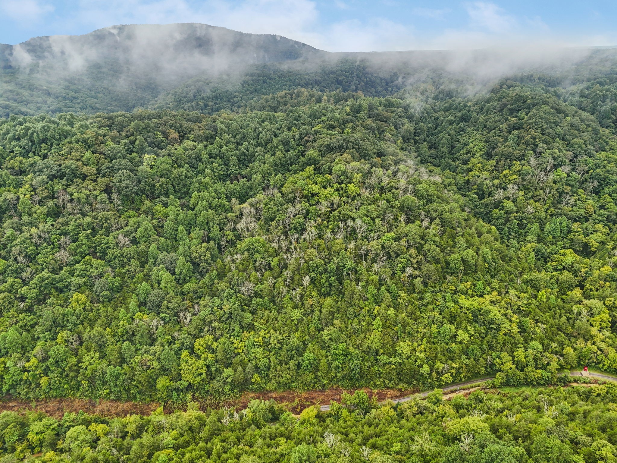 0 Turkey Branch Road Liberty, TN 37095 - Photo 6 of 31 a view of a field
