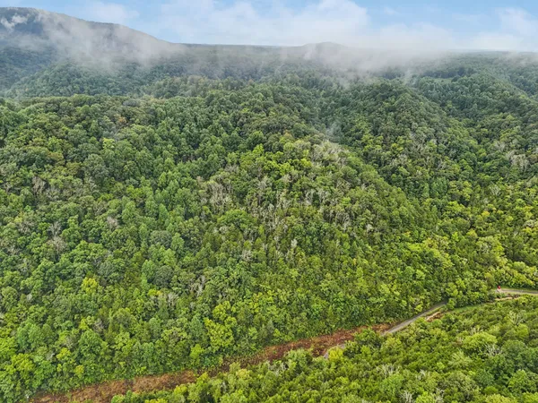 a view of a field of grass and trees
