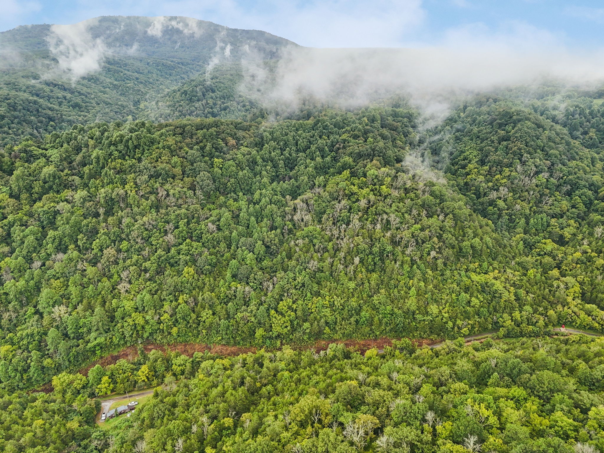 0 Turkey Branch Road Liberty, TN 37095 - Photo 9 of 31 a view of a field of grass and trees