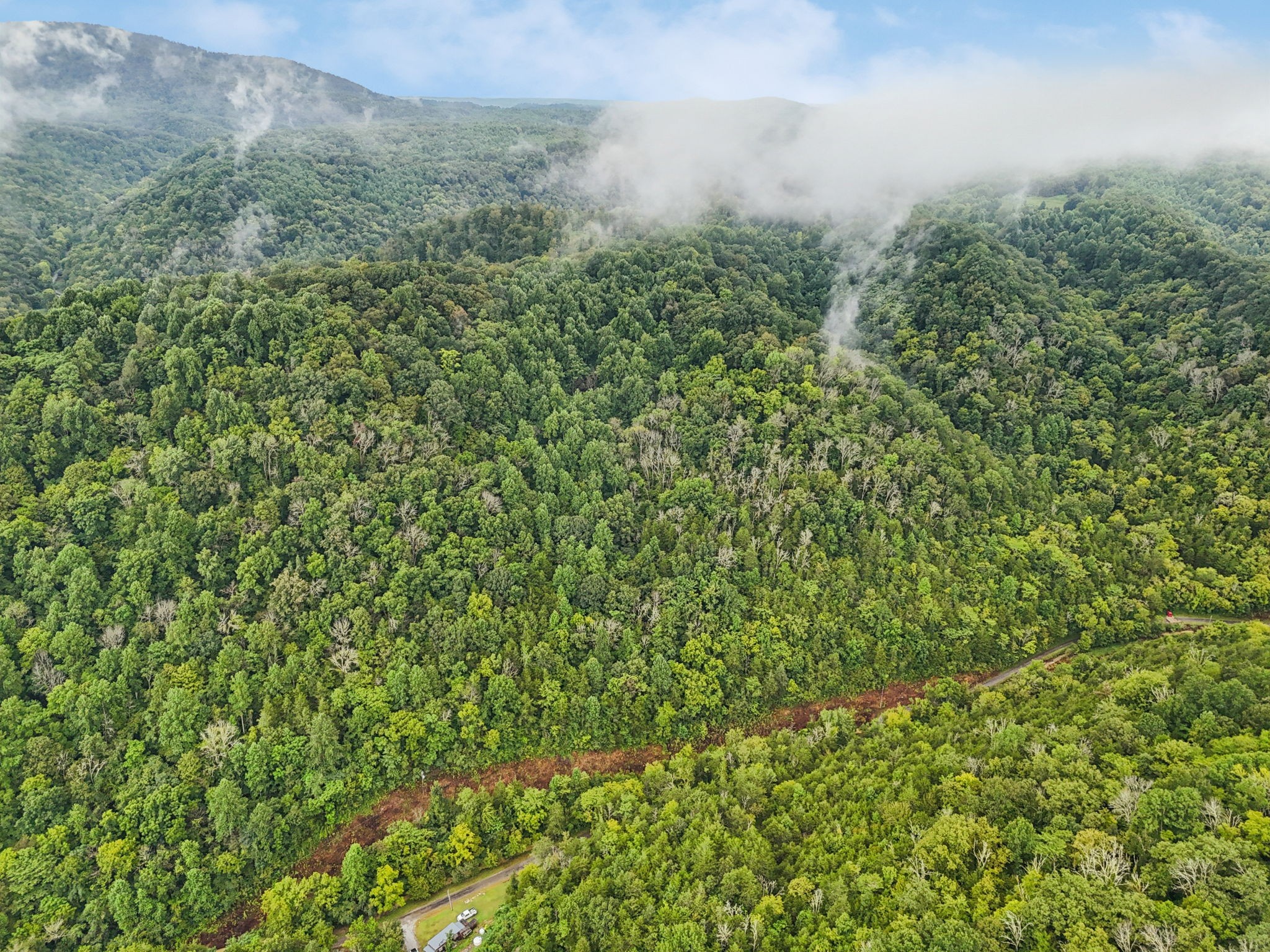 0 Turkey Branch Road Liberty, TN 37095 - Photo 10 of 31 a view of a field of grass and trees