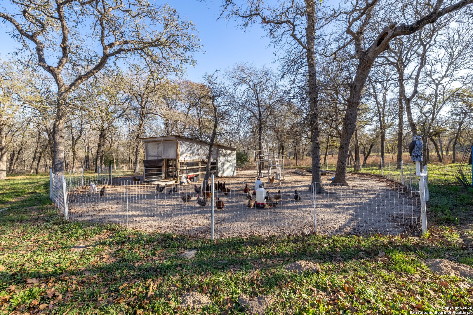 4843 Zion Hill Road Seguin, TX 78155 - Photo 7 of 24