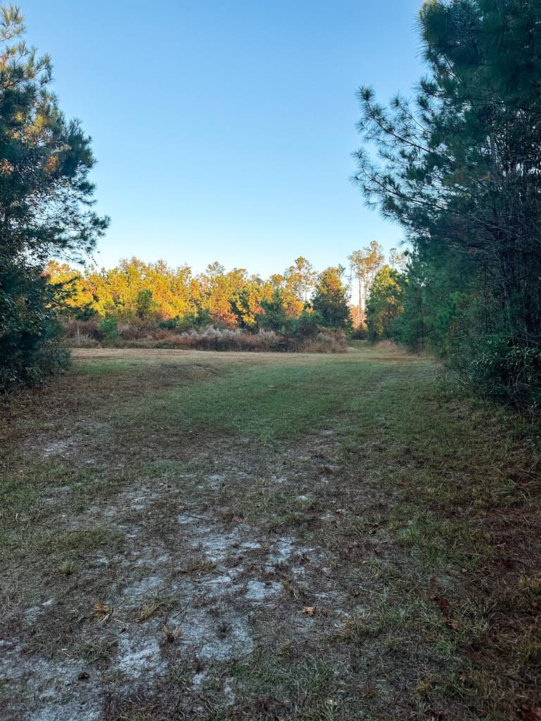 0 Porter Road Lake Park, GA 31636 - Photo 14 of 33 Gallery Image 14