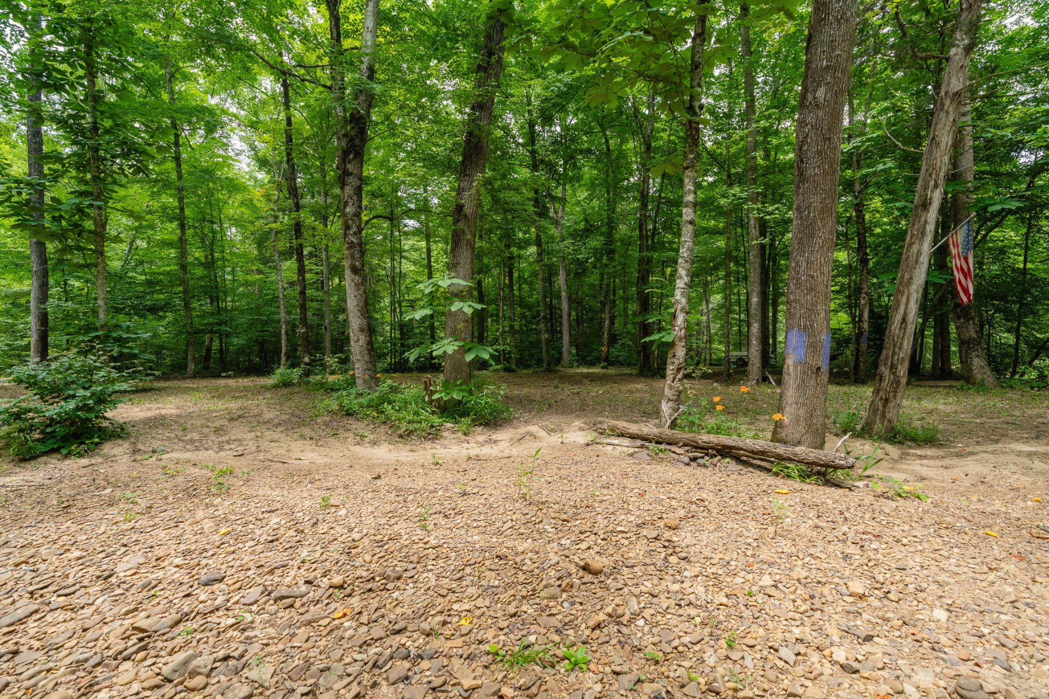 0 Steel Tram Ridge Road Monterey, TN 38574 - Photo 11 of 18 a backyard of a house with lots of green space