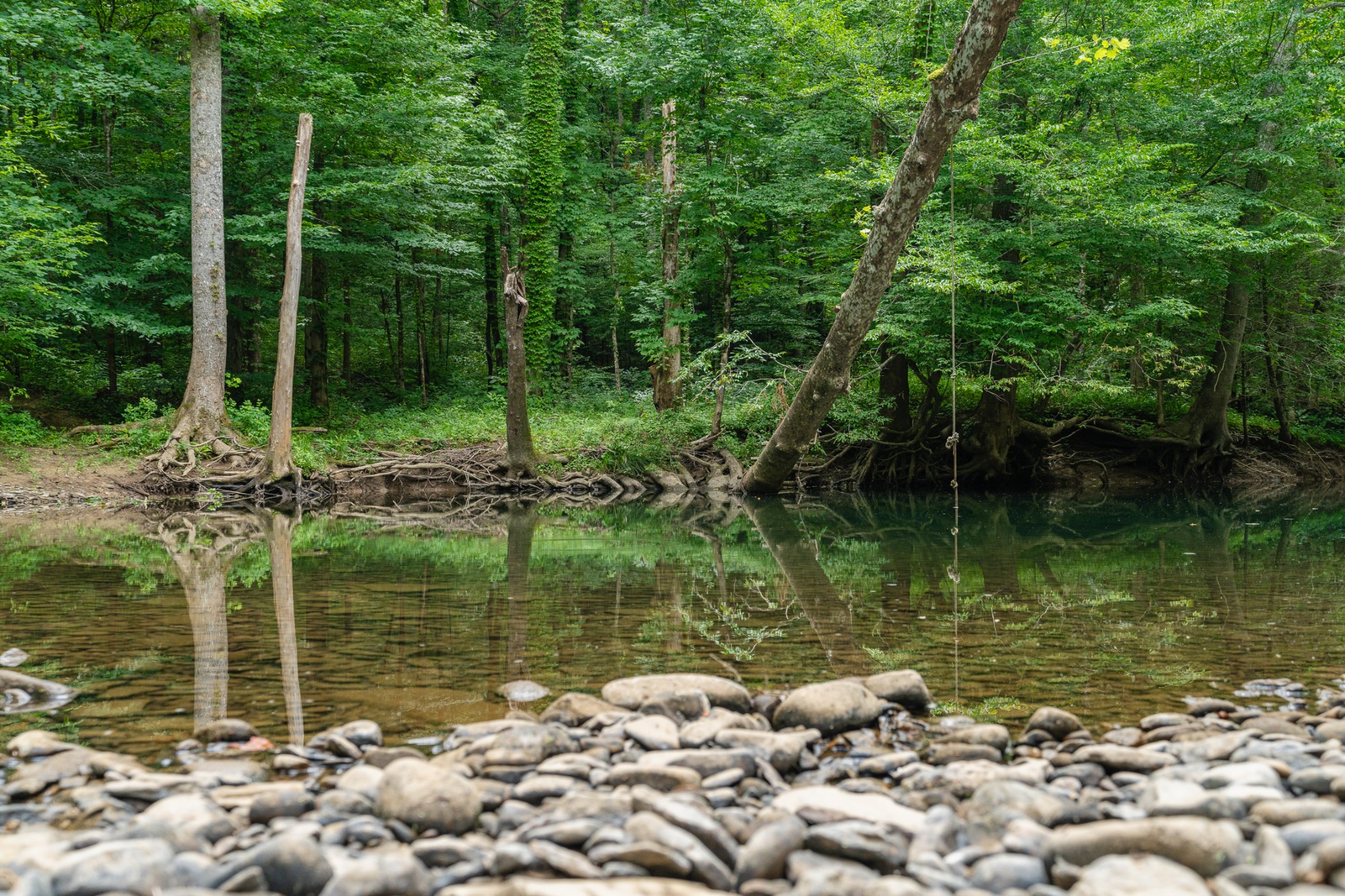 0 Steel Tram Ridge Road Monterey, TN 38574 - Photo 13 of 18 a view of lake with green space