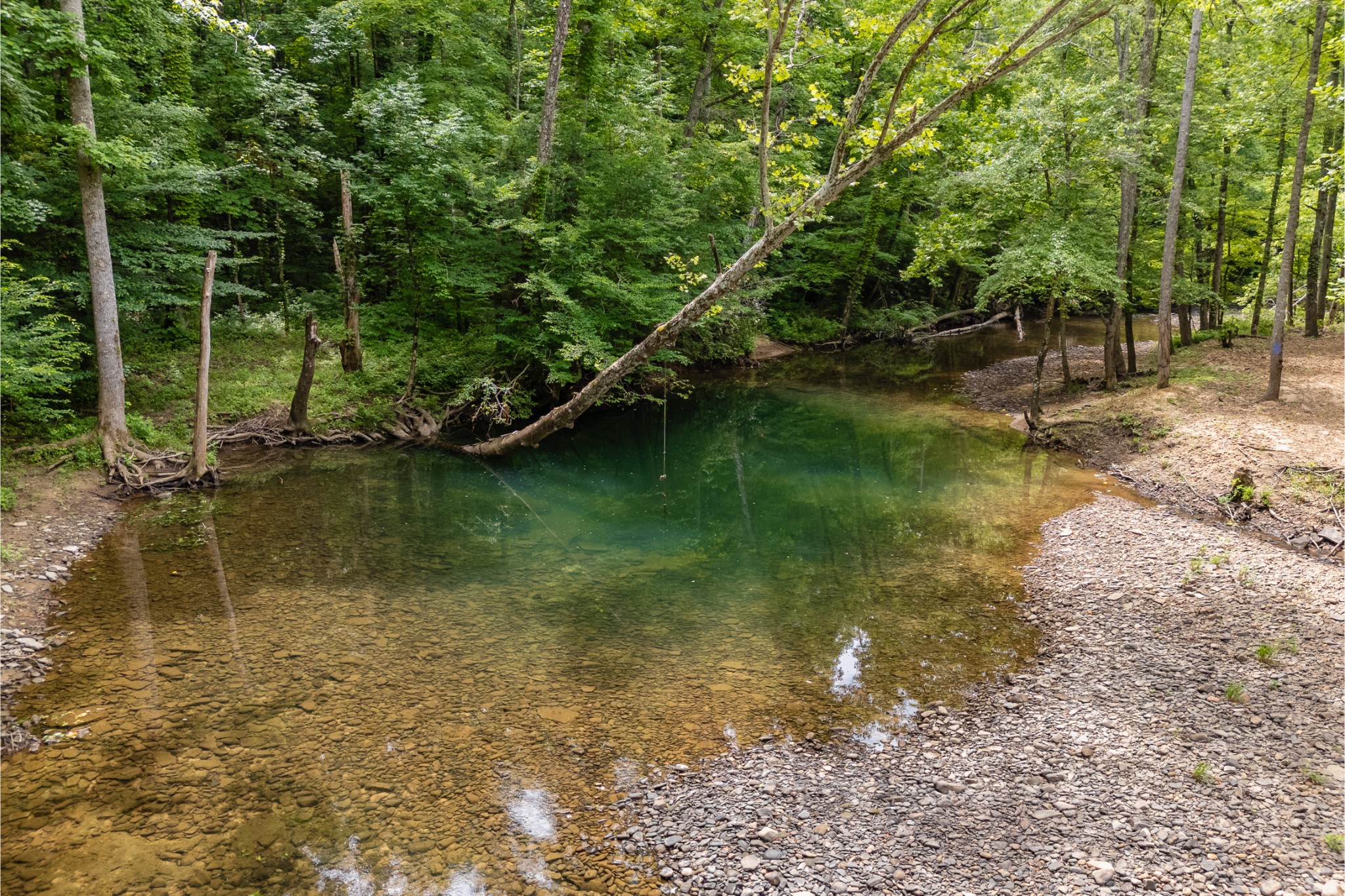 0 Steel Tram Ridge Road Monterey, TN 38574 - Photo 15 of 18 a view of a lake view