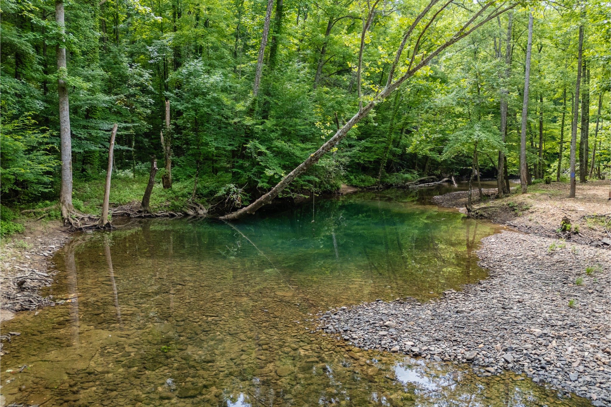 0 Steel Tram Ridge Road Monterey, TN 38574 - Photo 16 of 18 a view of a lake view