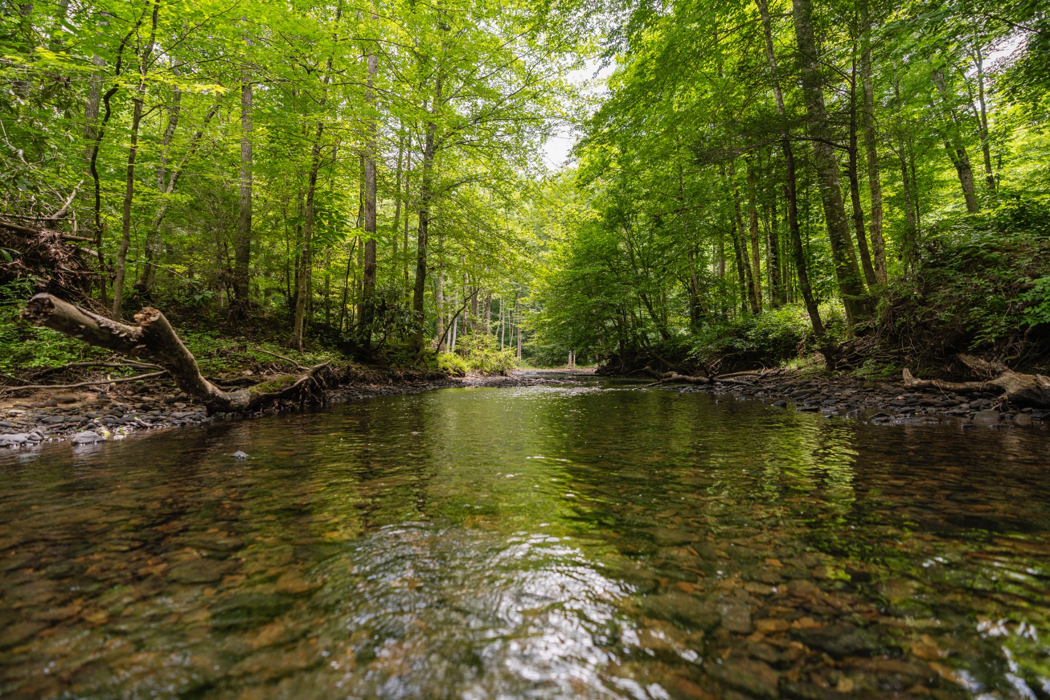 0 Steel Tram Ridge Road Monterey, TN 38574 - Photo 3 of 18 a view of a lake view