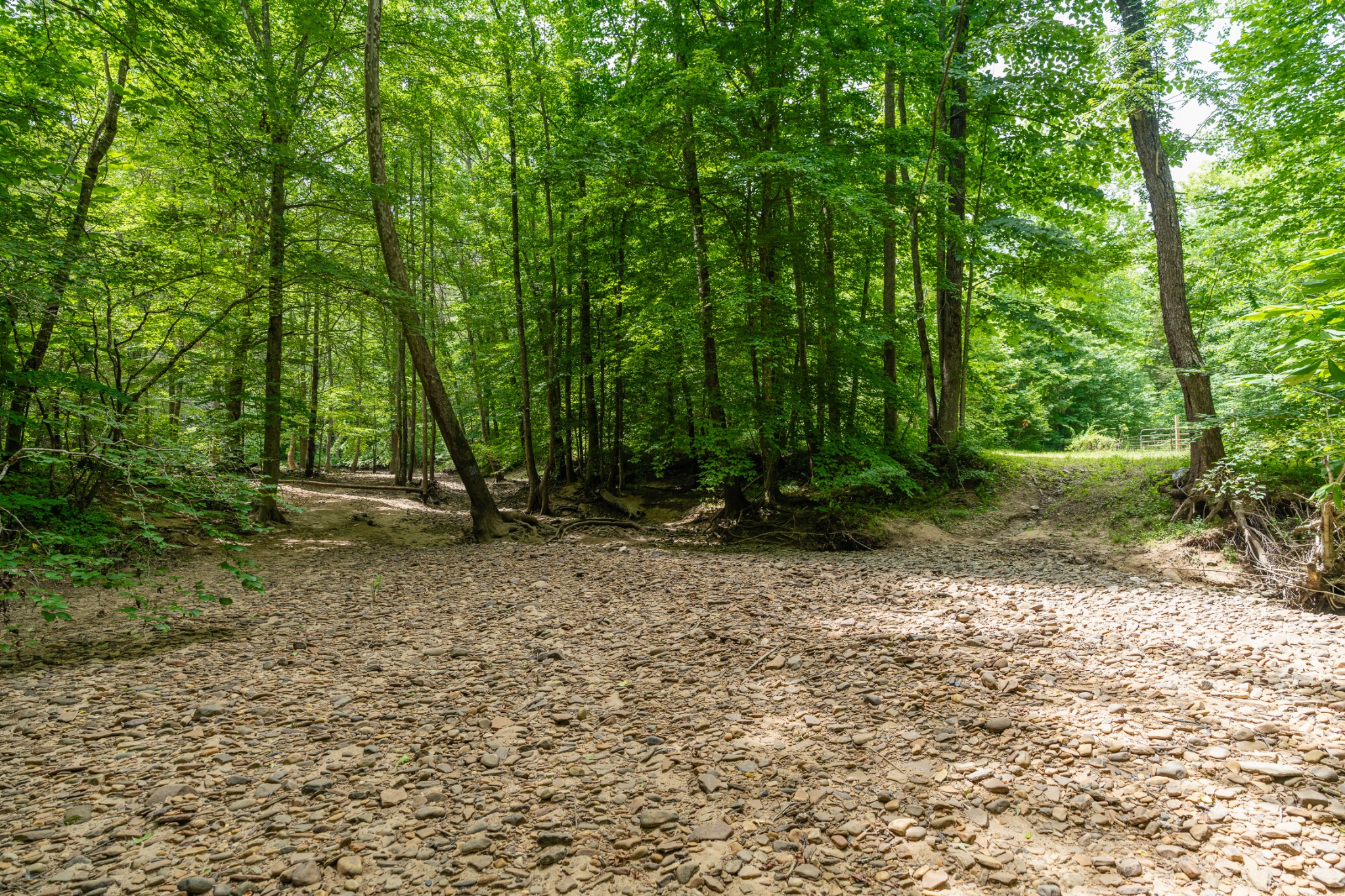 0 Steel Tram Ridge Road Monterey, TN 38574 - Photo 4 of 18 a view of backyard with green space