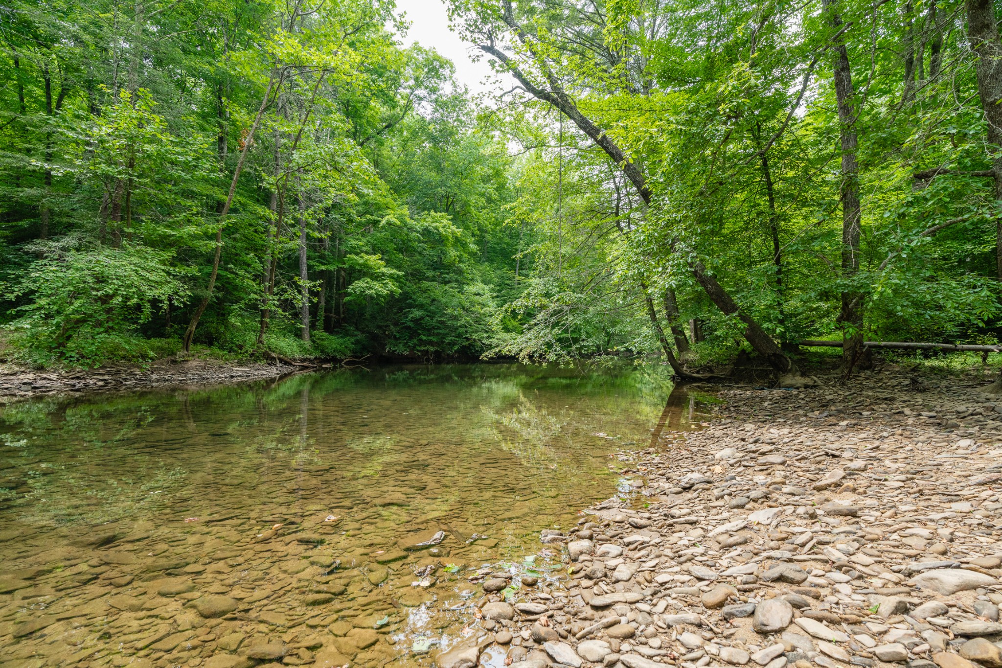 0 Steel Tram Ridge Road Monterey, TN 38574 - Photo 6 of 18 a view of lake with green space