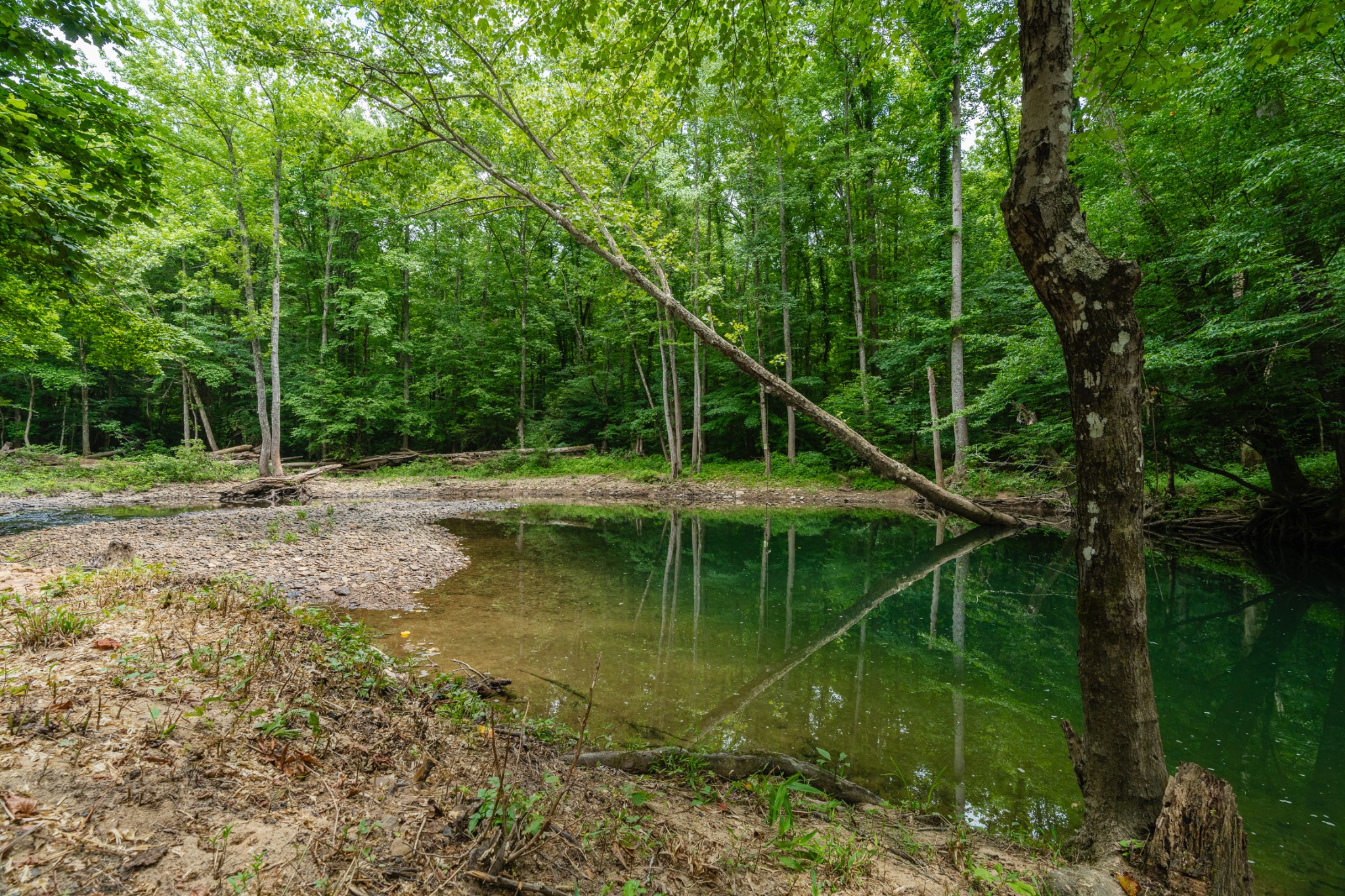 0 Steel Tram Ridge Road Monterey, TN 38574 - Photo 10 of 18 a view of a lake with a house