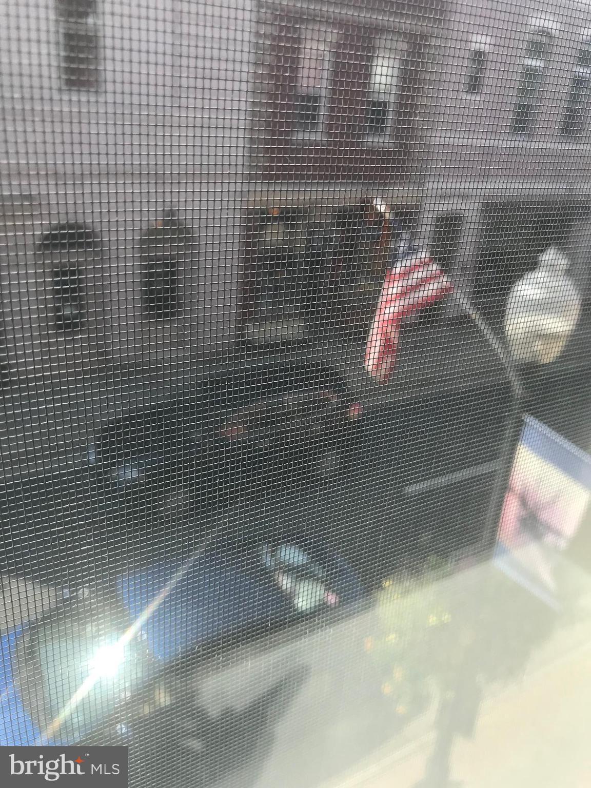 9006 Opera Alley Manassas, VA 20110 - Photo 5 of 19 View of downtown and All the Parades of Old Town