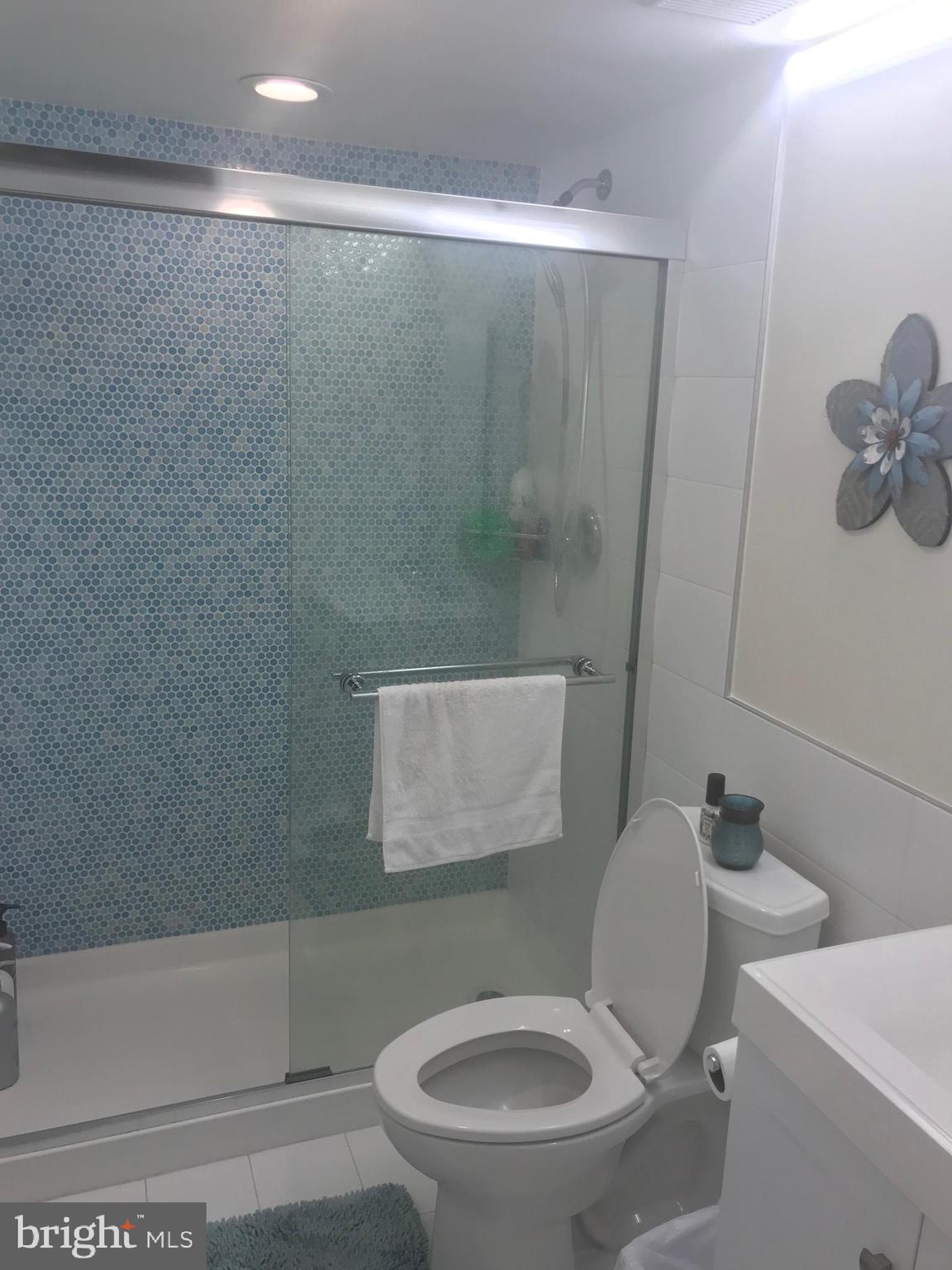 9006 Opera Alley Manassas, VA 20110 - Photo 9 of 19 Updated Bath