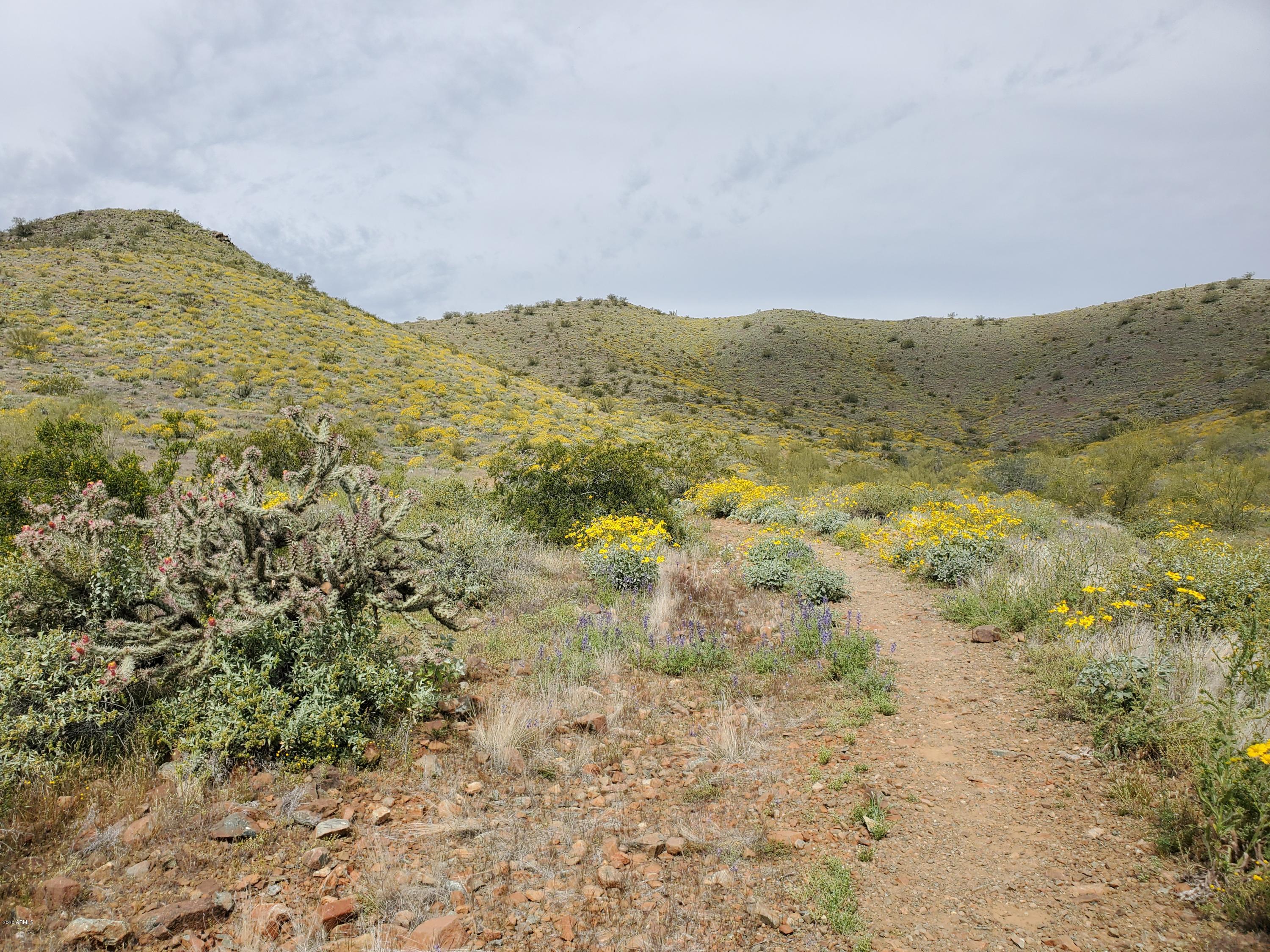 2835 East Jj Ranch Road Phoenix, AZ 85024 - Photo 38 of 42 38-Hiking