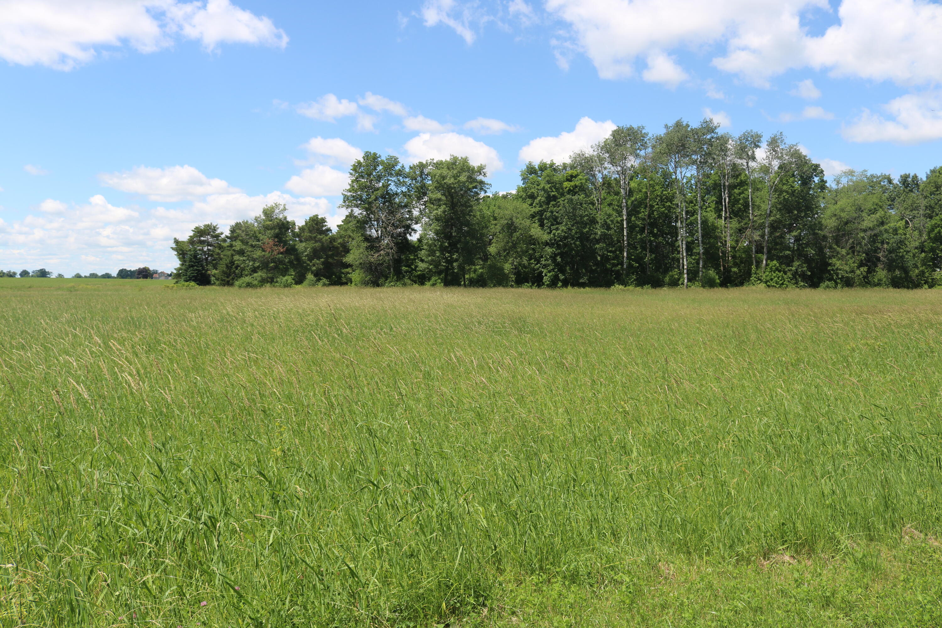 5 5 Mile Road Watertown, WI 53098 - Photo 10 of 17 IMG_1572