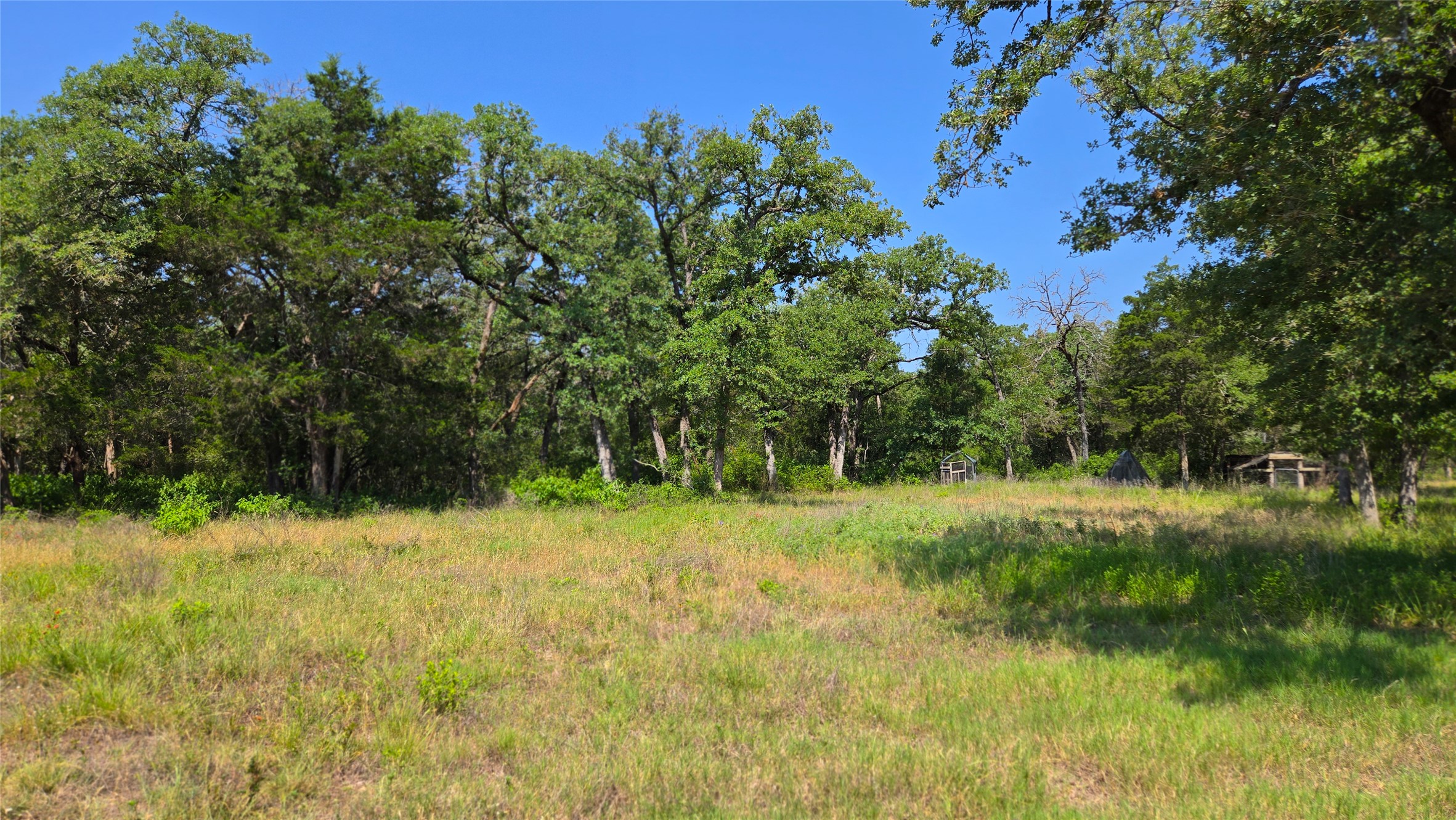 277 Meuth Cemetery Road Red Rock, TX 78662 - Photo 2 of 19 Green pastures and mature trees line this tranquil, ready-to-build lot.