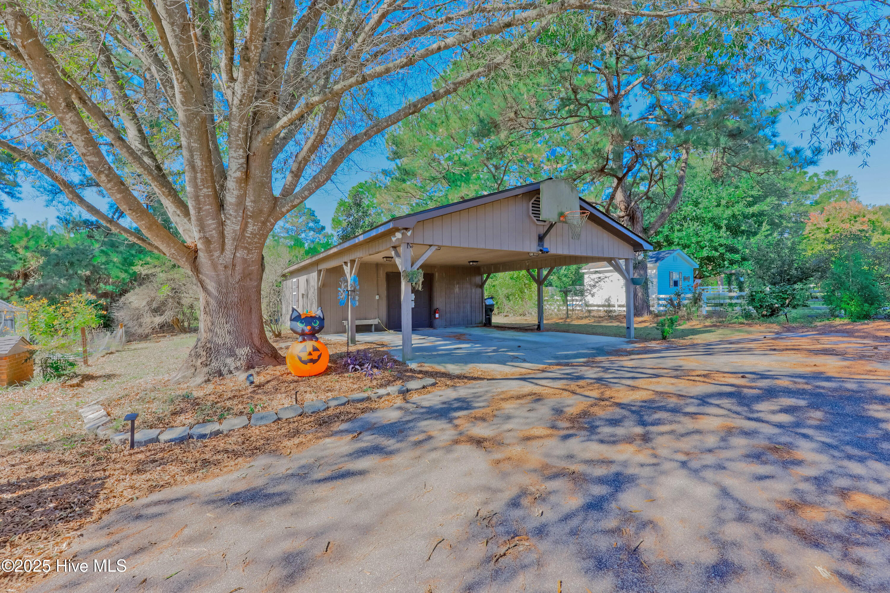 451 Tracy Brown Road Magnolia, NC 28453 - Photo 13 of 47 Garage and Wired Building