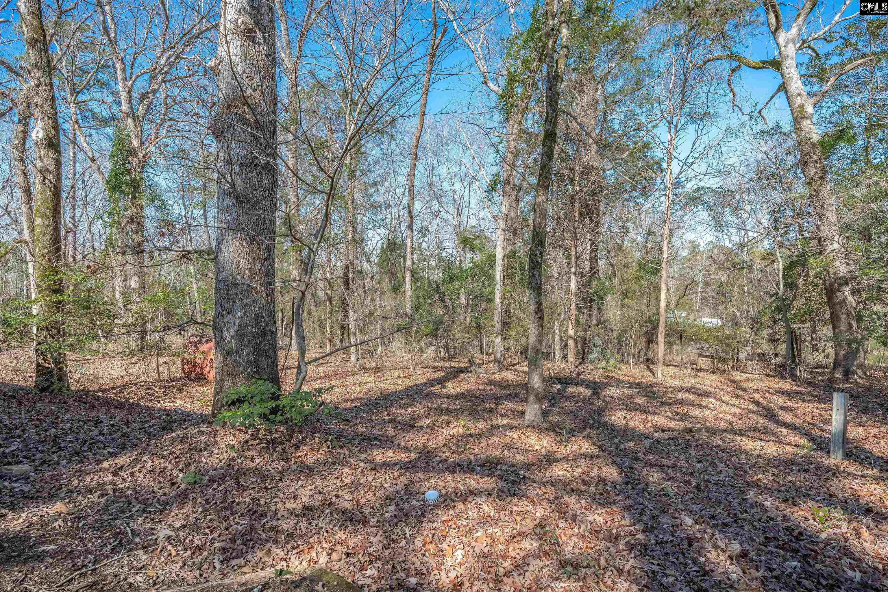3600 Kennerly Road Irmo, SC 29063 - Photo 32 of 70