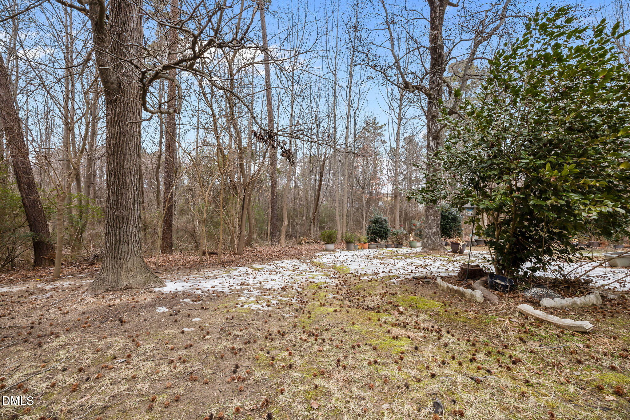 2813 Bedfordshire Court Raleigh, NC 27604 - Photo 35 of 46 a view of a yard with trees