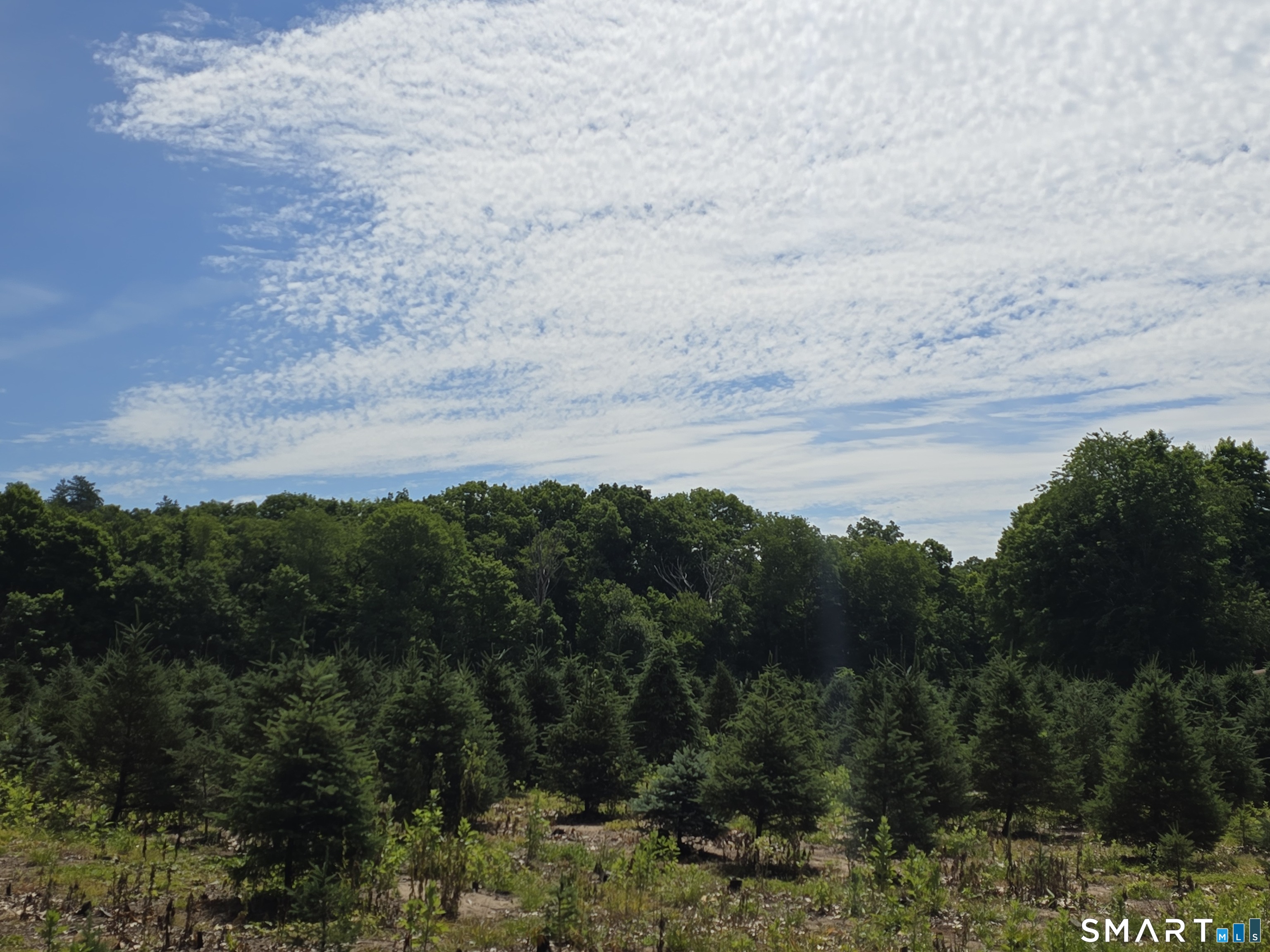 11 Bunker Hill Road Andover, CT 06232 - Photo 7 of 29